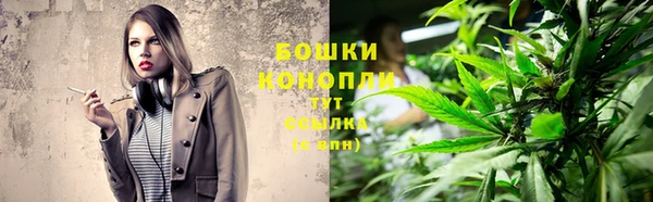 прущие крисы Рославль