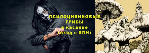 прущие крисы Рославль