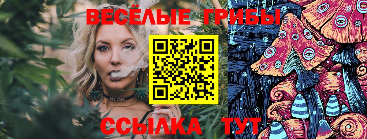 Галлюциногенные грибы Magic Shrooms Елец