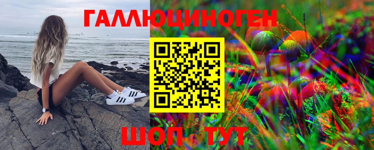 Елец  Галлюциногенные грибы Cubensis  как найти наркотики  Галлюциногенные грибы Cubensis  Вход с VPN 