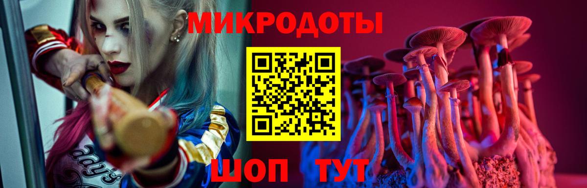 Галлюциногенные грибы Cubensis  наркота  Псилоцибиновые грибы Psilocybine cubensis  Елец 